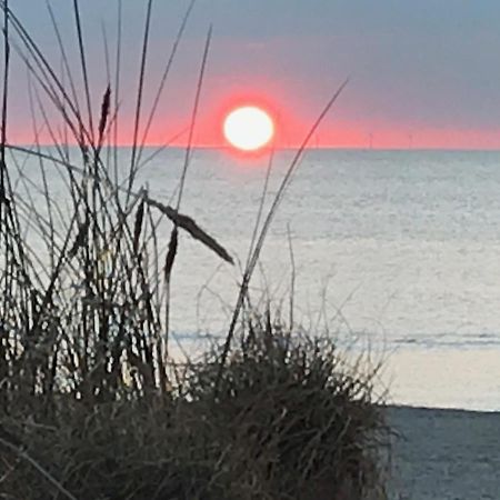 Het Zonnetje Daire Zandvoort Dış mekan fotoğraf