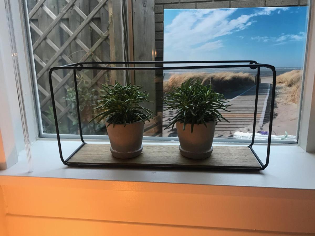 Het Zonnetje Daire Zandvoort Dış mekan fotoğraf