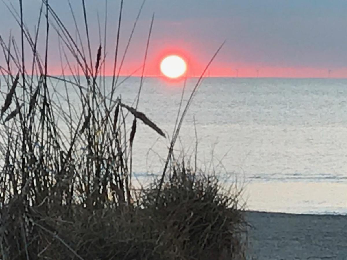 Het Zonnetje Daire Zandvoort Dış mekan fotoğraf
