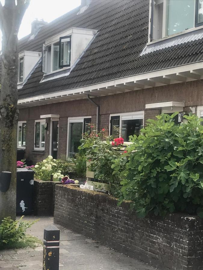 Het Zonnetje Daire Zandvoort Dış mekan fotoğraf