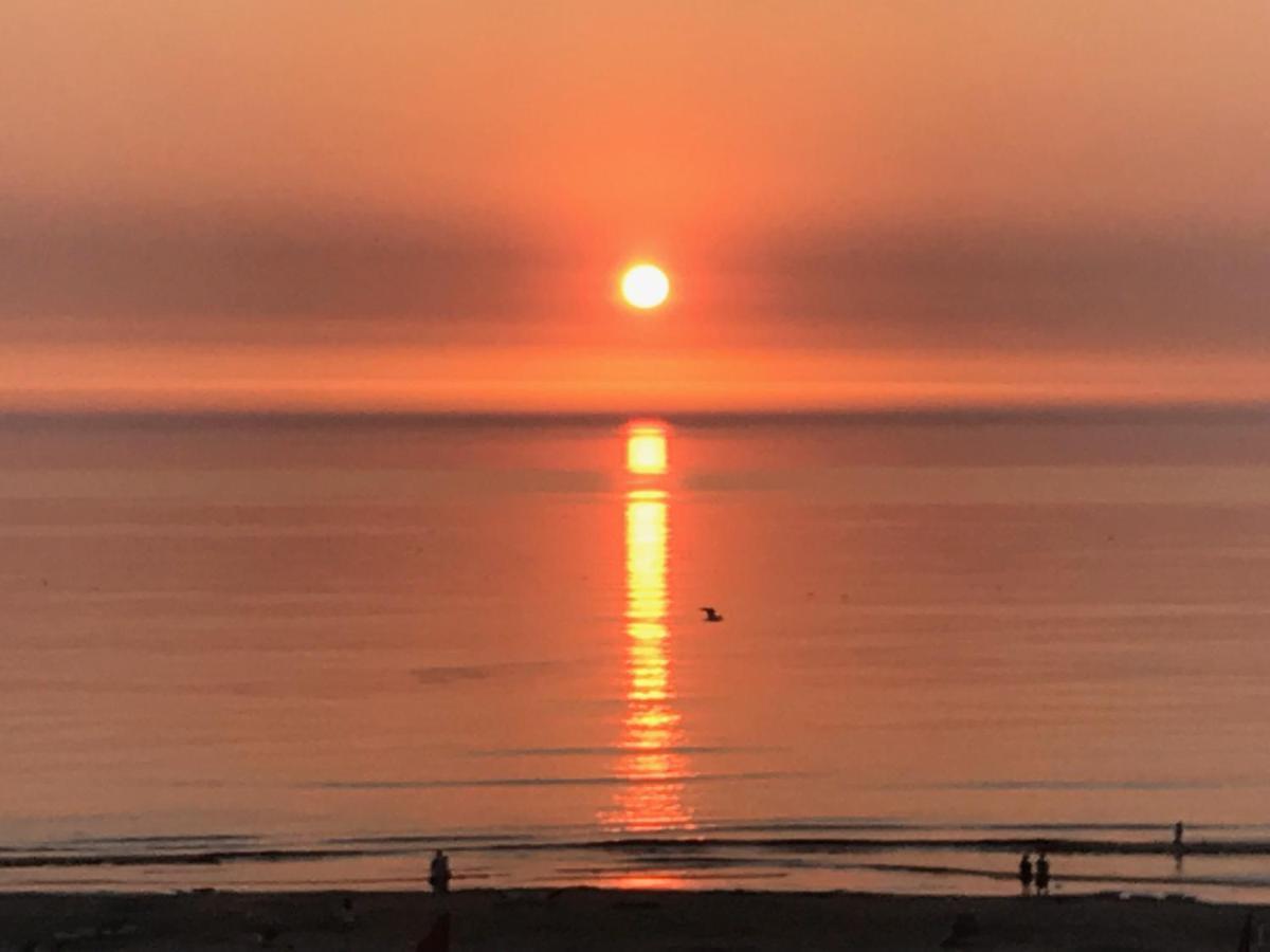 Het Zonnetje Daire Zandvoort Dış mekan fotoğraf