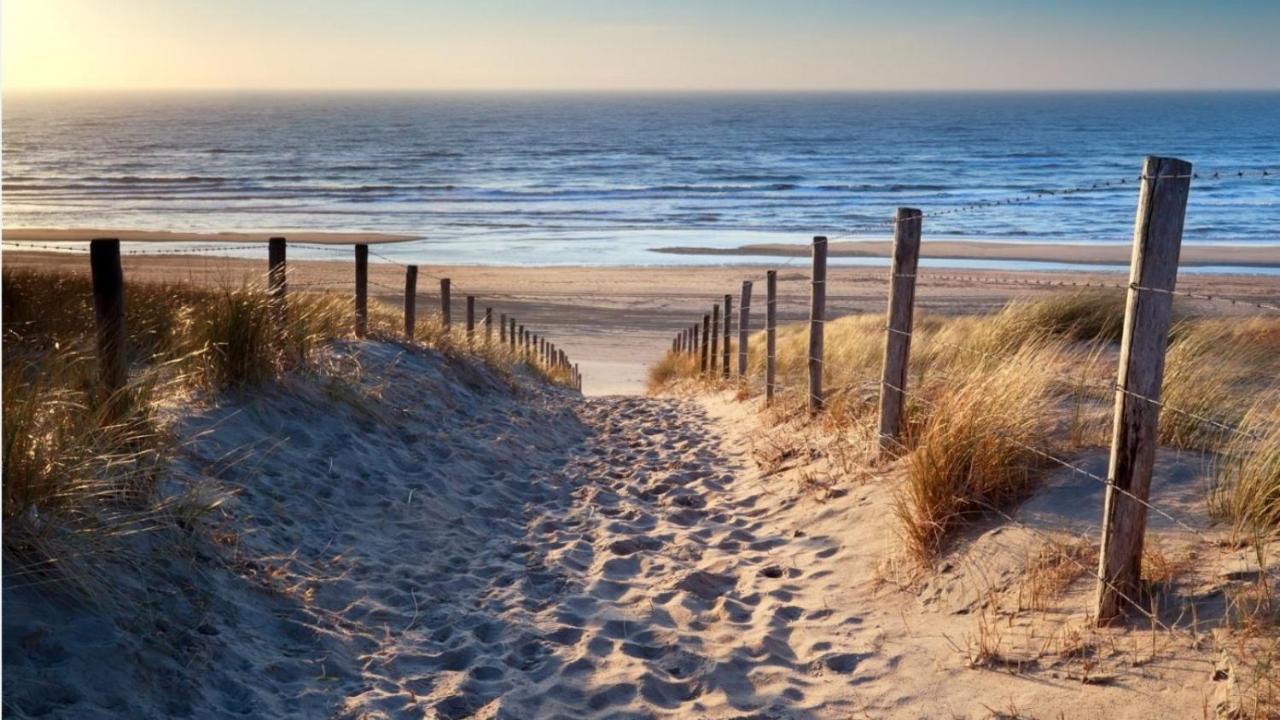 Het Zonnetje Daire Zandvoort Dış mekan fotoğraf